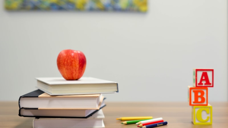 Dalle Indicazioni Nazionali al Curricolo d'Istituto